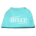 thumbnail image 1 of Bully Screen Printed Shirt  Aqua Xxl (18), 1 of 1