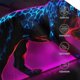 thumbnail image 3 of Fotbe Futuristic Purple Panther A、 Gorro Clásico de Béisbol, Gorra Ajustable con Broche Snapback, Gorro de Exterior de Algodón Suave, 3 of 6
