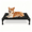 Black Elevated Dog Bed (No Mesh), variant on Pozico Elevated Dog Bed, Breathable Mesh Fabric with Metal Frame, Raised Pet Cot for Small Dogs and Cats, Washable Cooling Bed, Black, 18.5 x 18.5 Inch