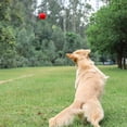 thumbnail image 4 of Squeaky Ball Perro Limpieza de dientes Juguete Bola de molienda para perros, 4 of 8