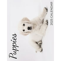 Puppies 2025 Calendar: 2025 Calendar, (Paperback)