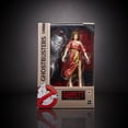 thumbnail image 1 of Ghostbusters Plasma Series Dana Barrett Action Figure, 1 of 6
