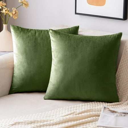 

EMEMA Pack of 2 Velvet Throw Pillow Covers Decorative Square Pillowcase Soft Solid Cushion Case for Sofa Bedroom Chair Car 16x16 Inch Moss Green