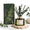 Forest Mist-6.76 Ounce/1 pack, variant on Lavender Eucalyptus Reed Diffuser Set, 6.76 Ounce/1 pack for home air freshening