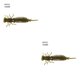 thumbnail image 4 of Wosthever 10 Uds. De cebos de insectos de simulación, señuelos de pesca portátiles, cebos de pesca suaves reutilizables, cebos de plástico para Jigging Type13 NO13 Wosthever CBP149472, 4 of 6