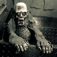 thumbnail image 3 of Casa de Halloween Del Fantasma Que Se Arrastra con Ojos Y Accesorio de Sonido Gritando, 3 of 9