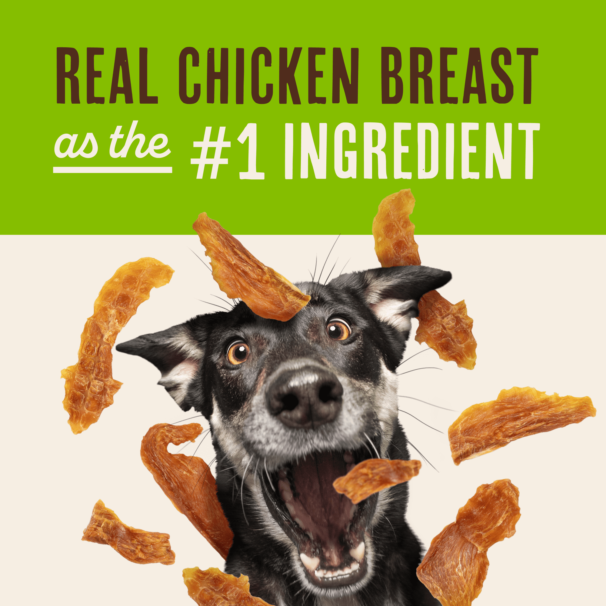 (2 pack) Waggin Train Wgn Trn Chicken Jerky Tender