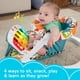 thumbnail image 2 of Silla portátil Fisher-Price Deluxe Kick & Play con piano de juguete, 2 of 6