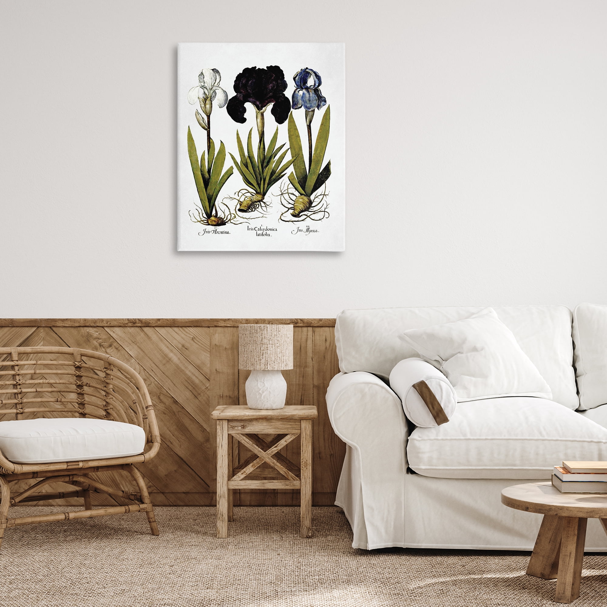 Stupell Industries Vintage Iris Flowers Botanical & Floral Painting Gallery Wrapped Canvas Art Print Wall Art, 30 x 40