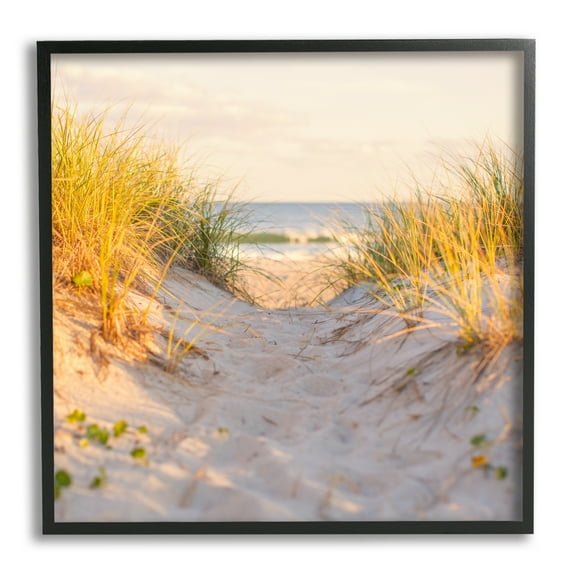 Stupell Industries Beach Sand Dunes Path Nature Photography Black Framed Art Print Wall Art, 12 x 12