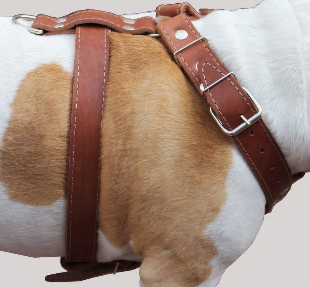 Brown Genuine Leather Dog Harness, Large to XLarge. 35"-39" Chest, 1.5" Wide Straps, Great Dane Cane Corso