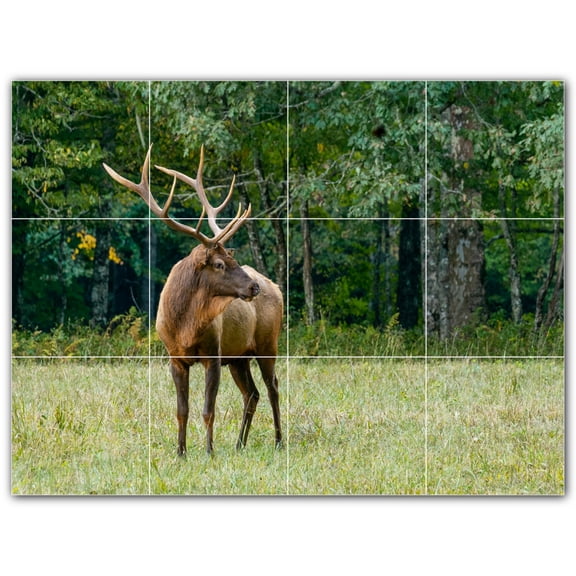 Picture-Tiles.com: Deer Ceramic Tile Wall Mural WAL500433-43XL. 48"W x 36"H using (12) 12" x 12" Ceramic Tiles-Satin Finish