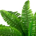 thumbnail image 6 of Northlight Boston Fern Artificial Potted Plant - 24", 6 of 6