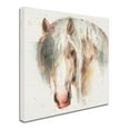 thumbnail image 2 of Trademark Fine Art 'Farm Friends VI' Canvas Art by Lisa Audit, 2 of 3