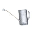 thumbnail image 1 of S SERENABLE Arrosoir 1L Poignée Ergonomique Long Bec pour Fleurs d'Intérieur Gris, 1 of 5