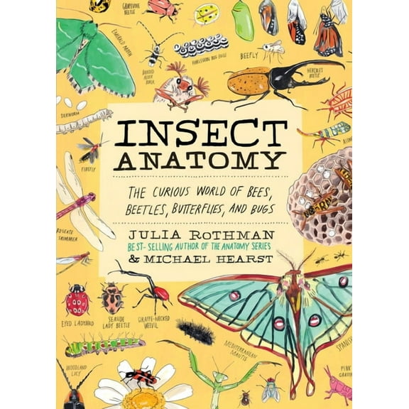 Anatomy Insect Anatomy: The Curious World of Bees, Beetles, Butterflies, and Bugs, (Paperback)