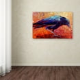 thumbnail image 3 of Trademark Fine Art 'Crow 12' Canvas Art by Marion Rose, 3 of 3