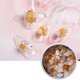 thumbnail image 1 of Concha de mar natural 3d Charm Nail Art Decoración Slice Crystal TFixol  Decoración de uñas, 1 of 7