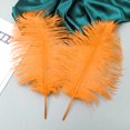 thumbnail image 4 of Plumas de avestruz, color naranja, 30-35 cm, 24 unidades, para manualidades, 4 of 6