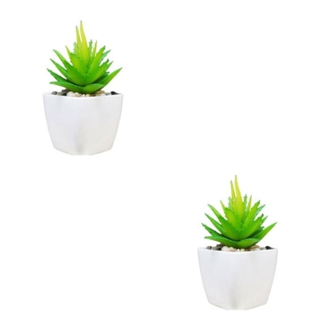 Plantas artificiales Bearachild suculentas Mini bonsai decorativas en maceta hogar jardín fiesta