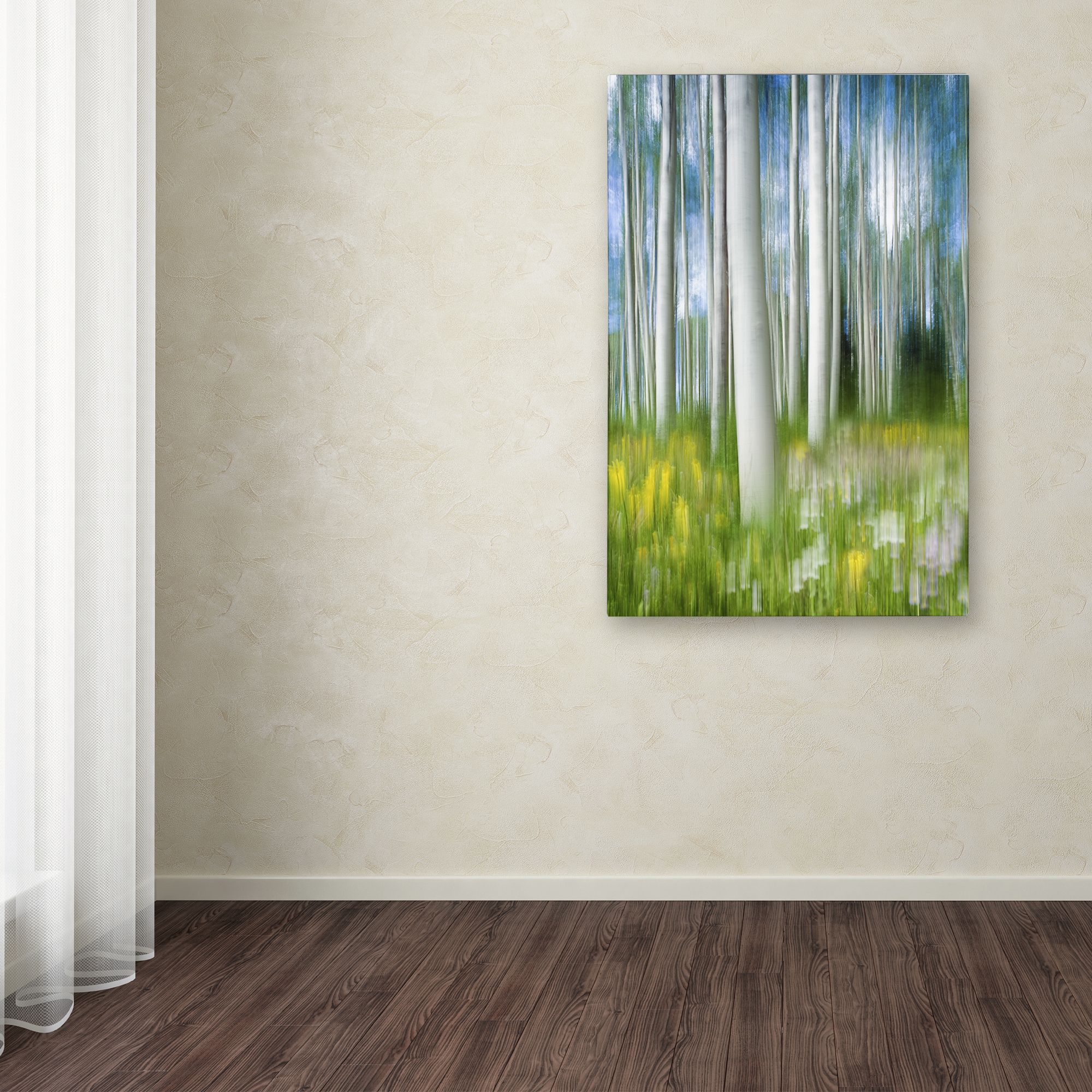 Trademark Fine Art "Aspen Impression" Canvas Art by Michael Blanchette Photography