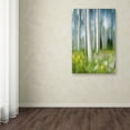 thumbnail image 3 of Trademark Fine Art "Aspen Impression" Canvas Art by Michael Blanchette Photography, 3 of 3