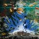 thumbnail image 5 of Rama de Coral de simulación para adornos de pecera, rama seca de Coral marino en forma de para decoración de acuario de Hotel de fiesta de bod azul Baoblaze Acuario de coral decorativo, 5 of 8