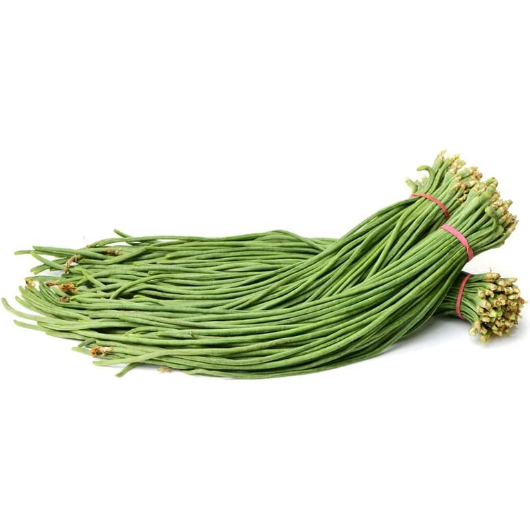 Fastest growing bean seeds