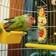 thumbnail image 4 of Cesta de comida para pájaros y loros, dispensador de frutas colgante de acero inoxidable, soporte para verduras, jaula para pájaros, accesorios de alimentación para periquitos, cono (2, 4 of 5