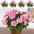 thumbnail image 2 of Artificial Geraniums Outdoor Flowers, Fake Silk Plants with Blooms, UV Resistant Plastic Greenery, Spring Floral Decor, Artificial Flowers for Garden Porch Planter Decoration, 2 of 7
