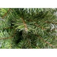 thumbnail image 4 of Northlight Green Unlit Full Artificial Canadian Pine Christmas Tree, 6', 4 of 4