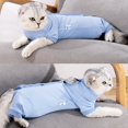 thumbnail image 2 of Combinaison de Récupération pour Chat après Chirurgie pour Femme Homme Pyjama Chirurgical pour Animaux de Compagnie Manches Longues Prévention de la Perte Combinaison Serrée & Col en E Alternative pour Chats, 2 of 6