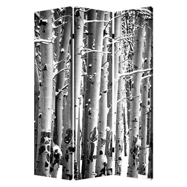 1" x 48" x 72" Multi Color Wood Canvas Birch  Screen