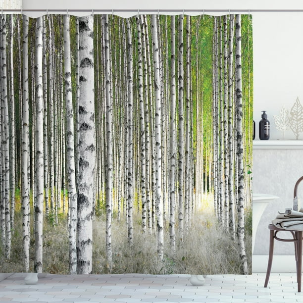Birch Tree Shower Curtain Peaceful Late Summer Woodland Trunks Leaves Foliage Serene Tranquil Fabric Bathroom Set With Hooks 69w X 84l Inches Extra Long Green Pale Grey Black By Ambesonne Com Birch Tree Shower Curtain Peaceful, Birch Tree Fabric Shower Curtain