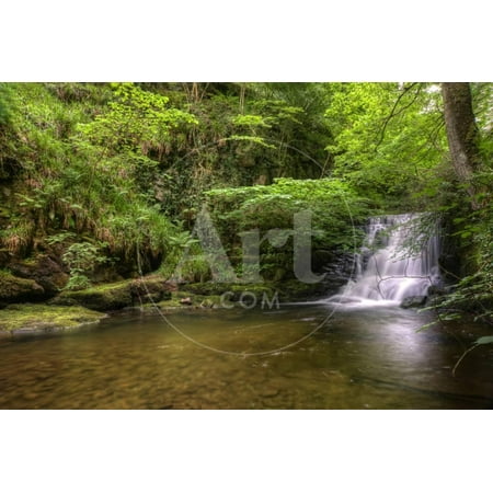 Stunning Waterfall Flowing over Rocks through Lush Green Forest with Long Exposure Print Wall Art By (Best Long Exposure App)