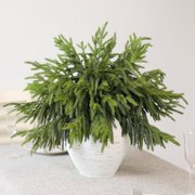Minibee Norfolk Pine Stems 18 Inch, 16 Pack Real Touch Artificial Norfolk Pine Branches Faux Greenery for Christmas Decor, Garland