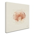 thumbnail image 2 of Trademark Fine Art 'Shell Collector IV' Canvas Art by Katie Pertiet, 2 of 3