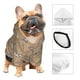 thumbnail image 3 of Balery Cactus Alpaca Sudadera con Capucha para Perros Pequeños – Ropa para Mascotas, Disfraz para Perros y Gatos, Ideal para Fiestas y Cosplay-Medium, 3 of 7