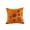 Orange, variant on ddioayh Clearance Fall Pumpkin Throw Pillow, Decorative Cushion with Bloom and Berry Accents for Couch Sofa Bed, Autumn Home Decor