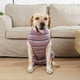 thumbnail image 5 of Ropa fisiológica para mascotas, perros, gatos y perros. rojo, 5 of 9
