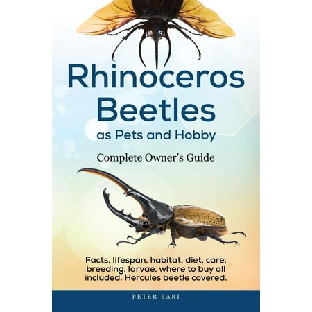 Hourglass Where To Buy Rhinoceros Beetles as Pets and Hobby - Complete Owner's Guide : Facts, Lifespan, Habitat, Diet, Care, Breeding, Larvae, Where to Buy, Hercules Beetle All Covered. ()