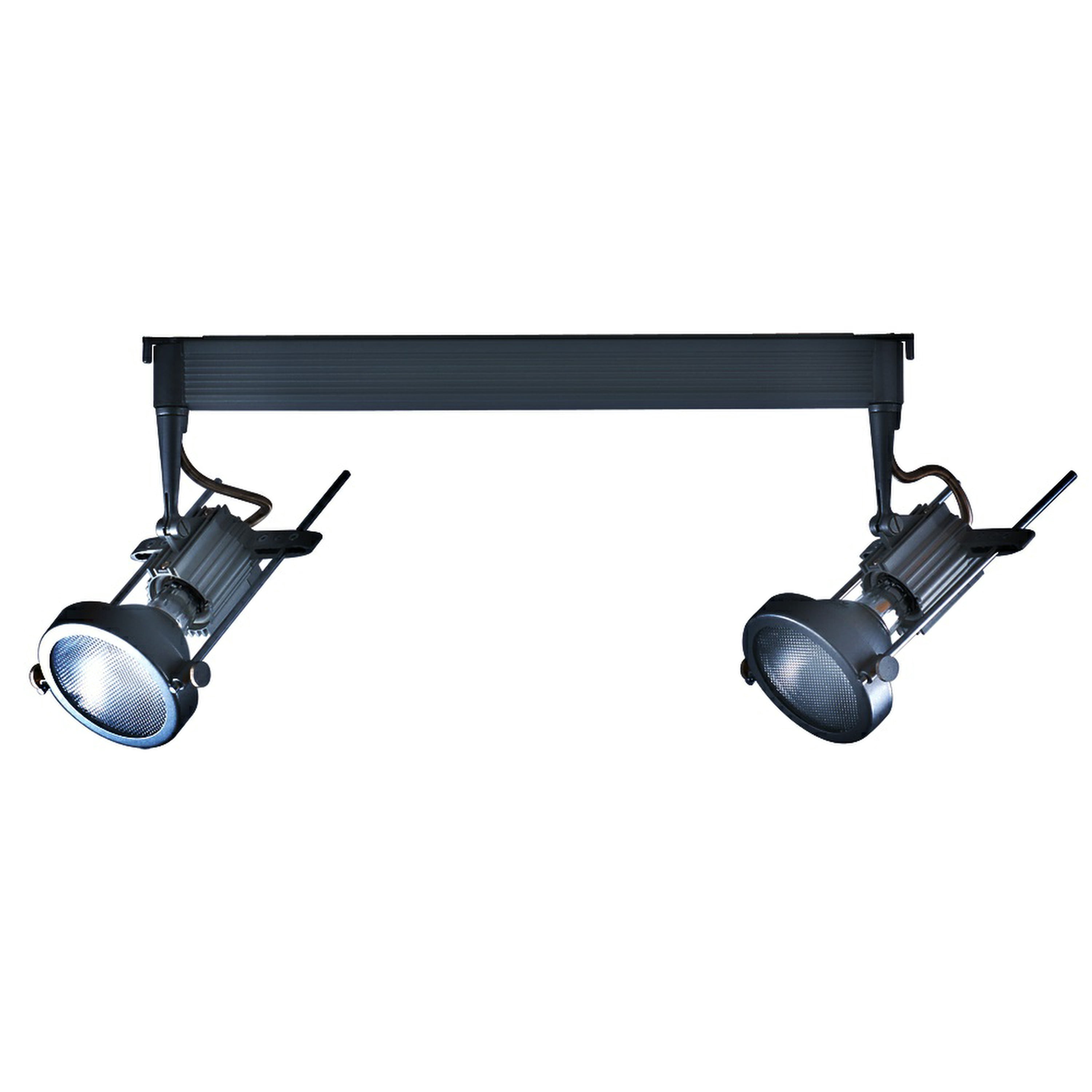2 Pack of High Quality Commercial Grade PAR30 Line voltage DUAL Head Track fixture by JESCO Lighting