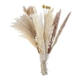 thumbnail image 4 of Ramo de flores de caña para hotel, ramo de flores secas de hierba de la pampa de 60 ramas, capullo, jarrón Bolas De Cereales, 4 of 9