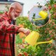thumbnail image 4 of Regadera de Plástico con Pico Largo y Tubo Reforzado | Capacidad 1.2 L | Plástico Duradero | Mango Ergonómico | Regadera para Plantas en Interior, Exterior, Oficina, Balcón y Jardín | Flujo de Agua, 4 of 5
