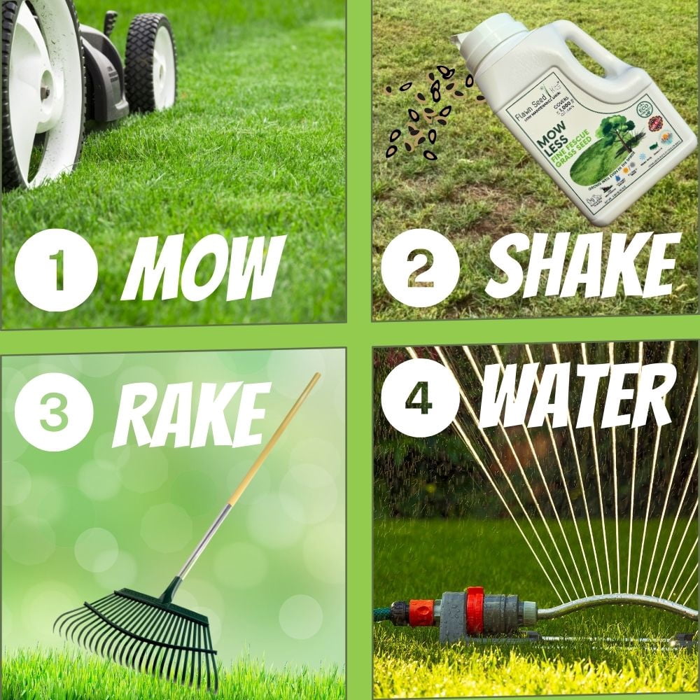 Flawn Seed Kits Mow Less Fine Fescue Grass Seed, 2 lb - Easy Spread Shaker, Low Maintenance