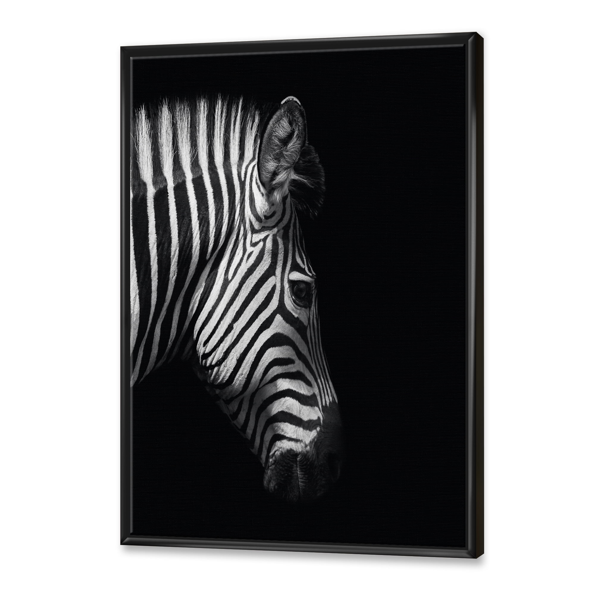 Designart 'Black and White Portrait of Zebra Head' Farmhouse Framed Canvas Wall Art Print