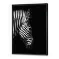 thumbnail image 3 of Designart 'Black and White Portrait of Zebra Head' Farmhouse Framed Canvas Wall Art Print, 3 of 5