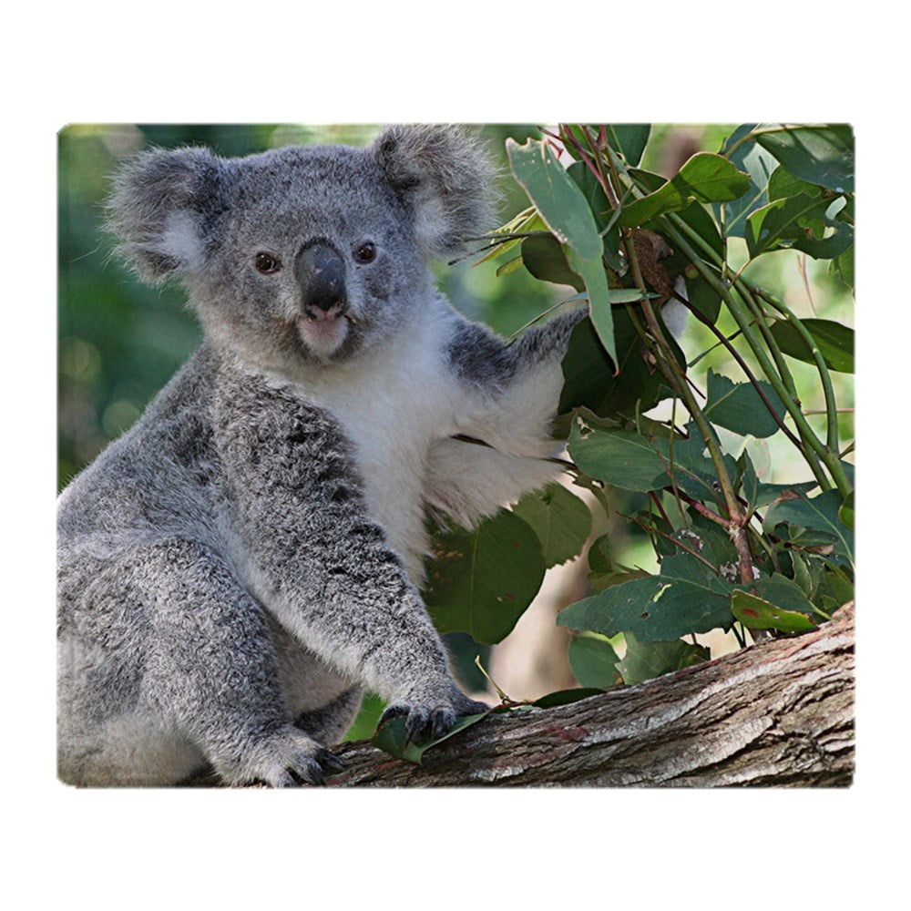 CafePress Cute Koala Soft Fleece Throw Blanket, 50"x60" Stadium