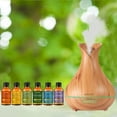 thumbnail image 2 of Ultrasonic Diffuser With Essential Oil Gift Set, 2 of 2