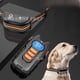 thumbnail image 1 of Entrenador de perros con control remoto, automático, antiladridos, carga, resistente al agua, 300 metros, anillo para el cuello con descarga eléctrica, 1 of 5